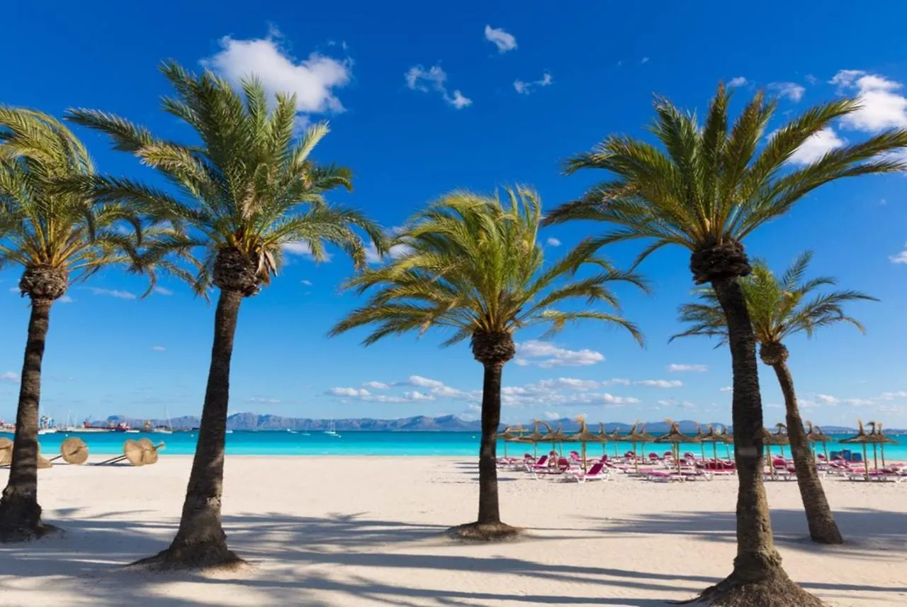 Villa Minerva Port de Alcudia   Port de Alcudia (Mallorca)