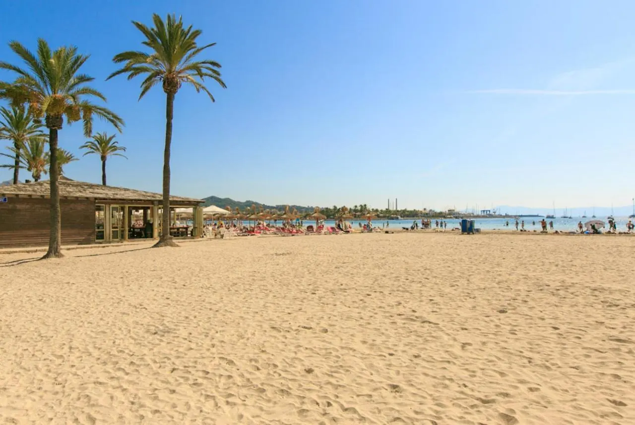 Villa Minerva Port de Alcudia  Spagna
